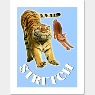 Stretch exercise by a tiger and a cat - white text Posters and Art